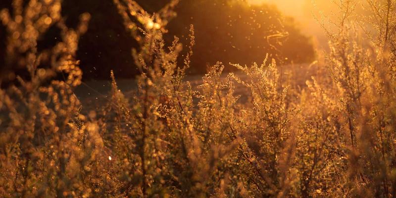 System Design 101：编程、DevOps与工程化思维的融合之道