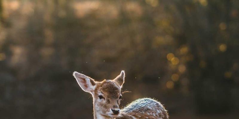 System Design 82:当编程工程遇见控制论的系统思维革命