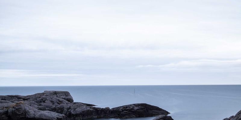 从控制论到架构实践：系统设计中的反馈循环与涌现秩序