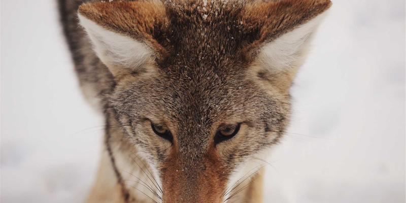 工程控制论视角下的高并发系统设计：限流、熔断与降级的全链路防护策略