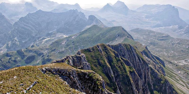 构建安全高效的多租户SaaS系统：数据隔离与资源管理的架构设计实践