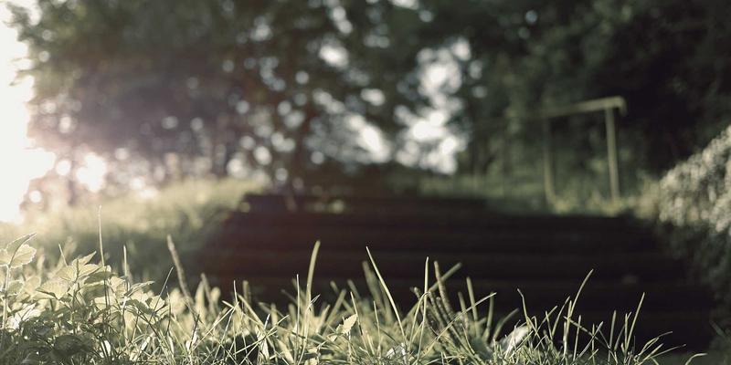 架构控制论：从编程实践到多活数据中心的高可用性系统设计