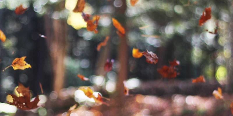 融合控制论与DevOps：基于领域驱动设计（DDD）的微服务架构拆分实战方法论