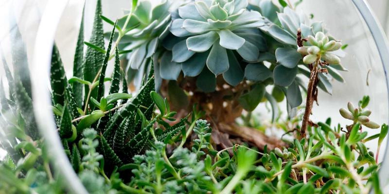 赛博朋克时代的工程艺术：Redis集群架构、数据分片与热点风暴破解之道