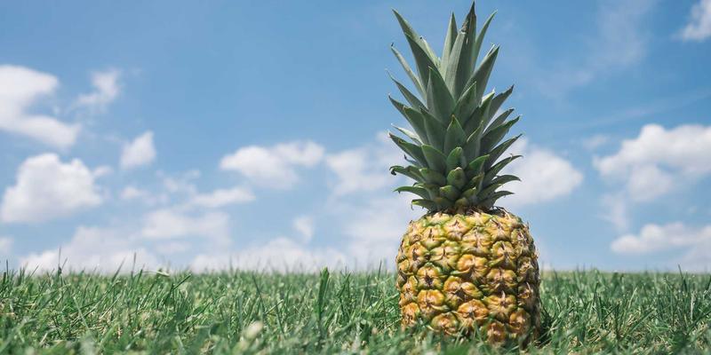 赛博朋克时代的工程艺术：系统架构中缓存策略的设计哲学与实战