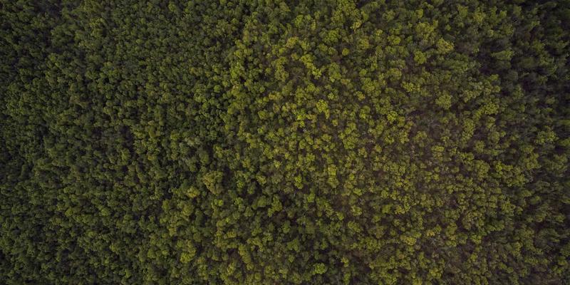 赛博朋克时代的系统设计：CAP定理的DevOps权衡与控制论实践指南