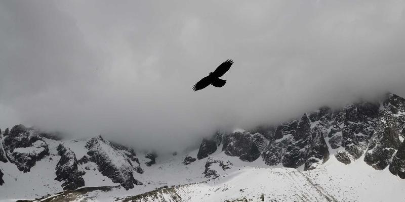赛博朋克时代的系统设计：工程思维与软件开发的未来形态